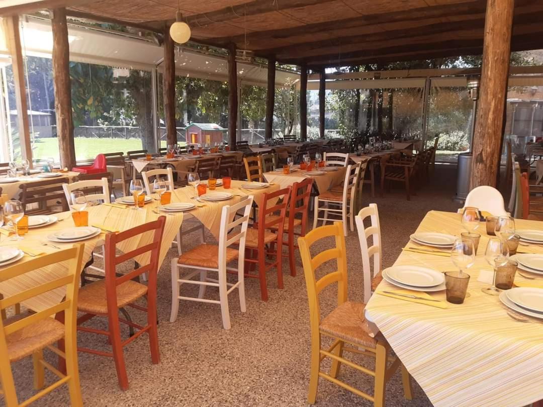 הוילה אלבניה Nonna Litta מראה חיצוני תמונה